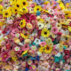 Hanging Flower Decoration Kit in Multicolor — detail view
